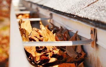 Finnis gutter cleaning companies