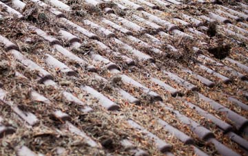 Finnis roof cleaning companies