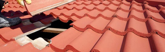 compare Finnis roof repair quotes