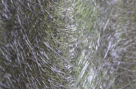 Finnis fibreglass roof work