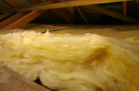 Finnis pitch roof insulation