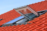 Finnis roof window